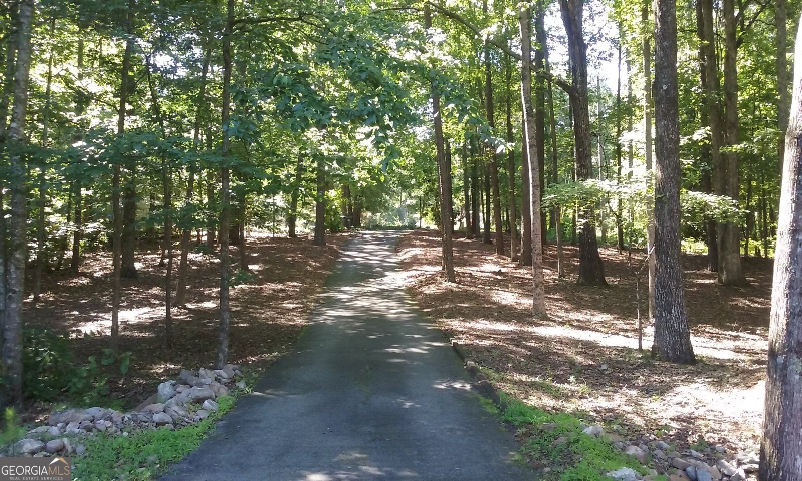 6450 Sara Glen Drive Douglasville - Photo 118