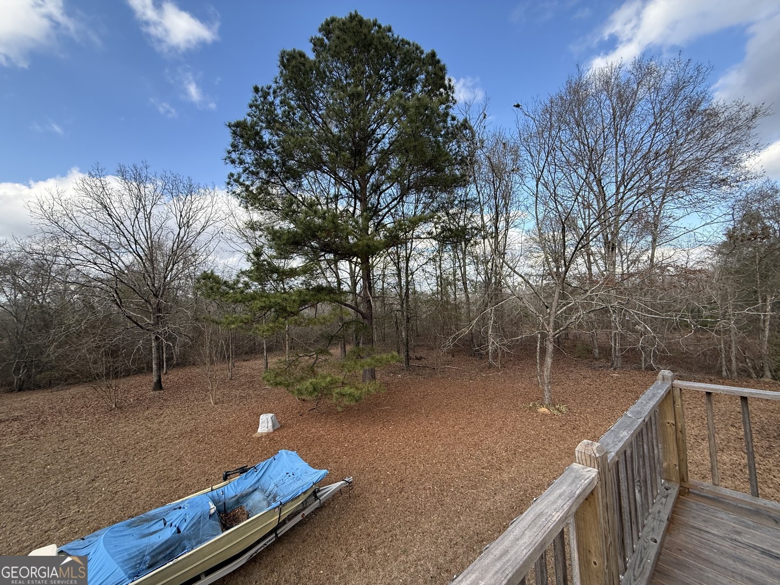 1769 Payne Road Rentz - Photo 33