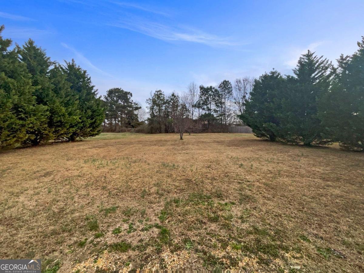 31 Majesty Drive Rockmart - Photo 22