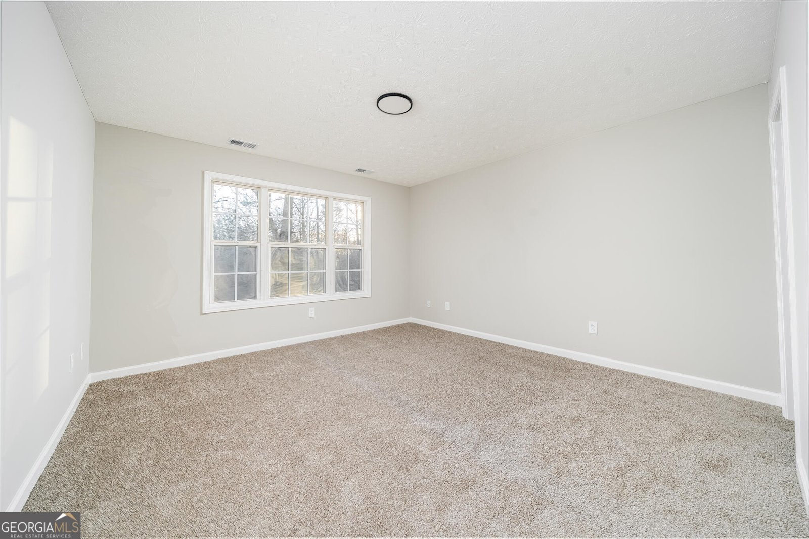 12291 Cartersville Highway Cartersville - Photo 25