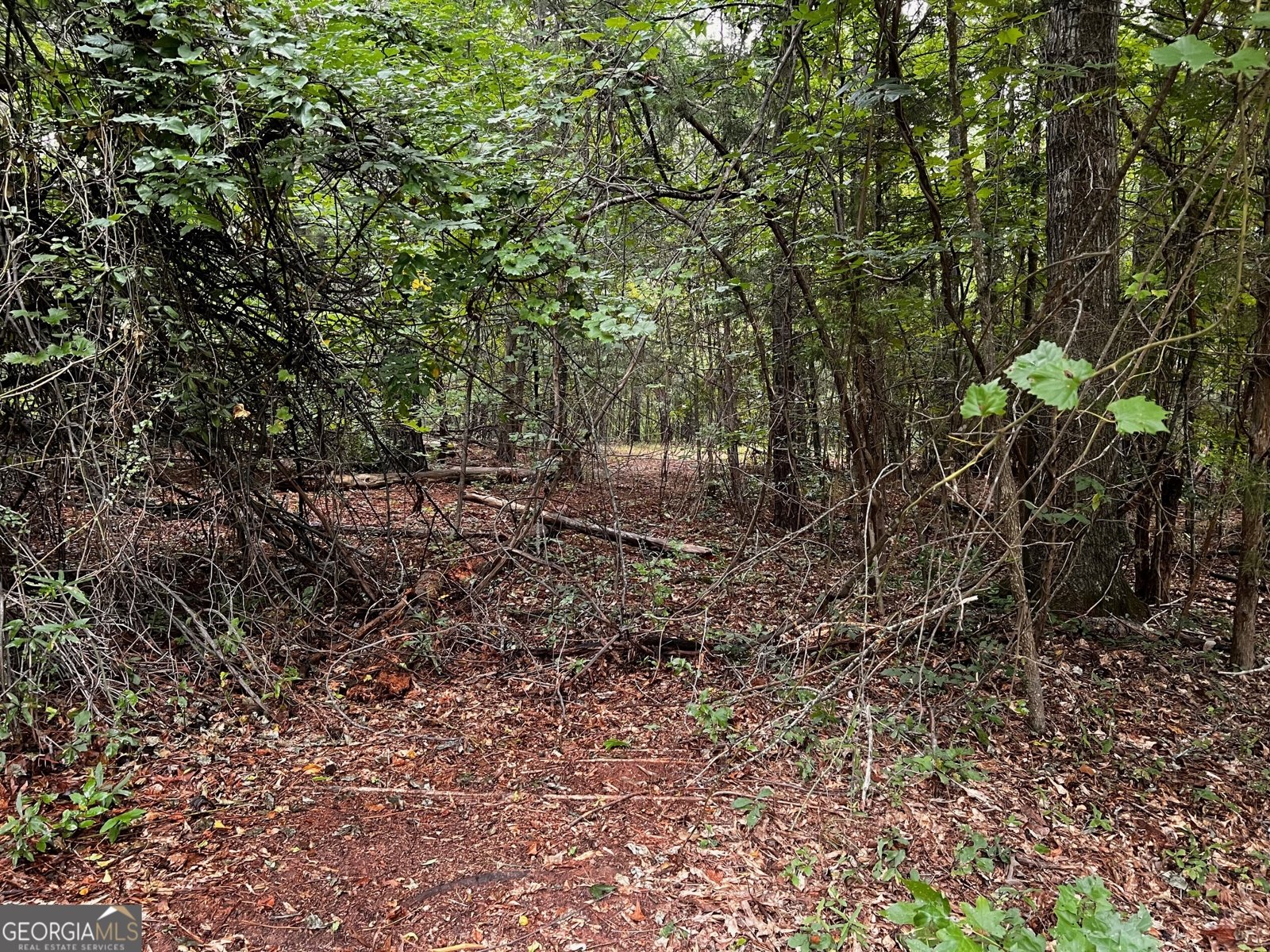 410 Irvin Road Thomaston - Photo 41