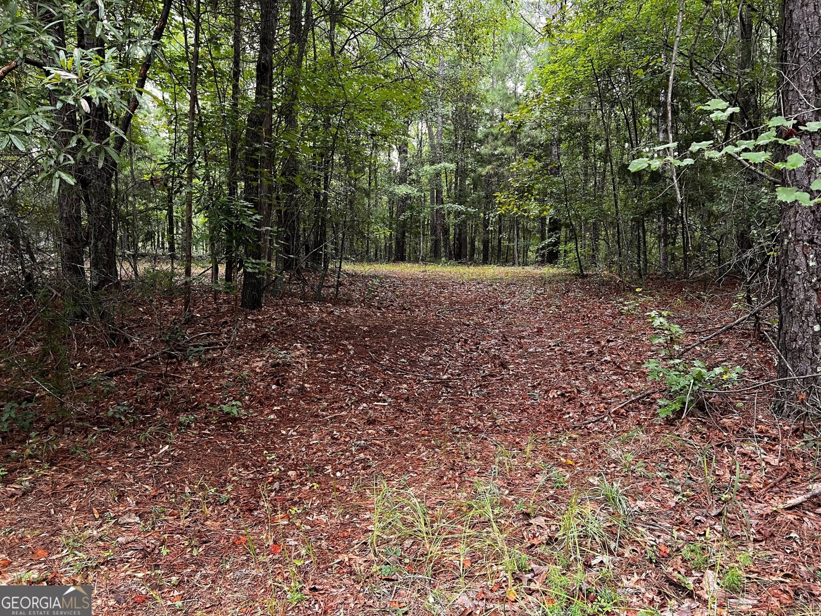 410 Irvin Road Thomaston - Photo 43