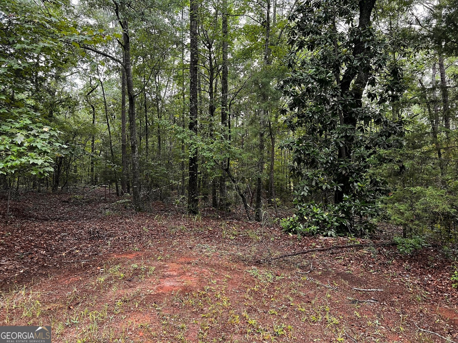 410 Irvin Road Thomaston - Photo 44