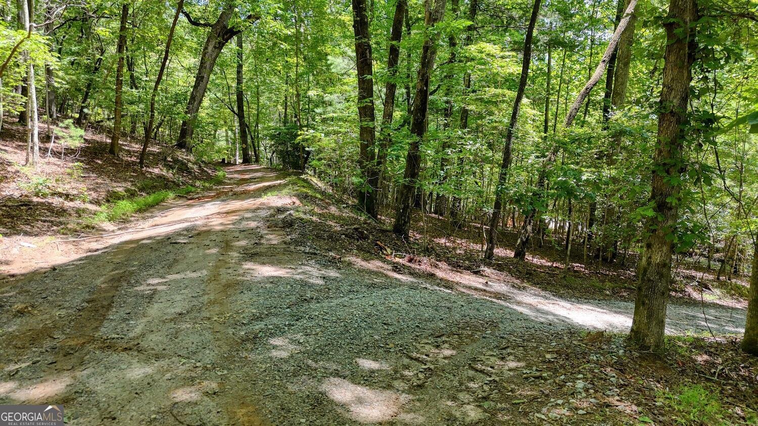 243 Chattahoochee Acres Drive Cleveland - Photo 47