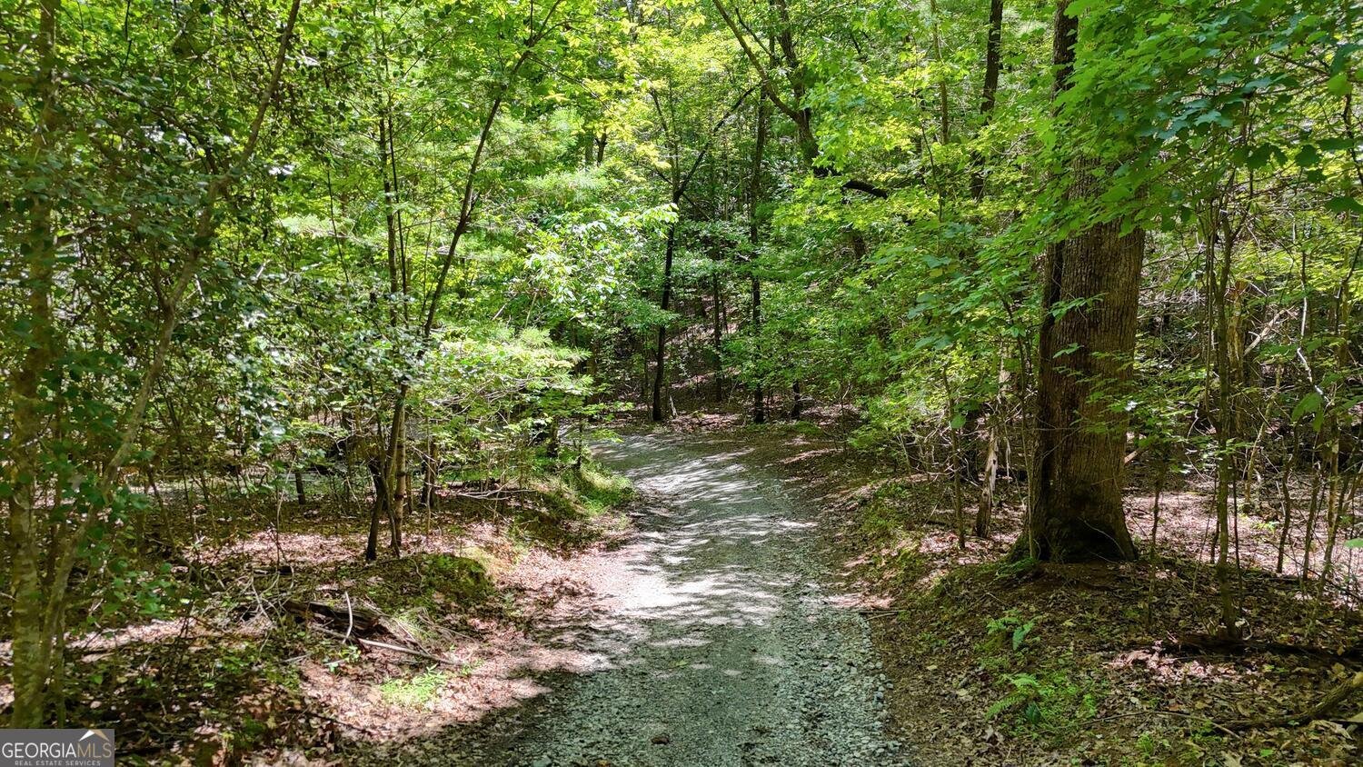 243 Chattahoochee Acres Drive Cleveland - Photo 48