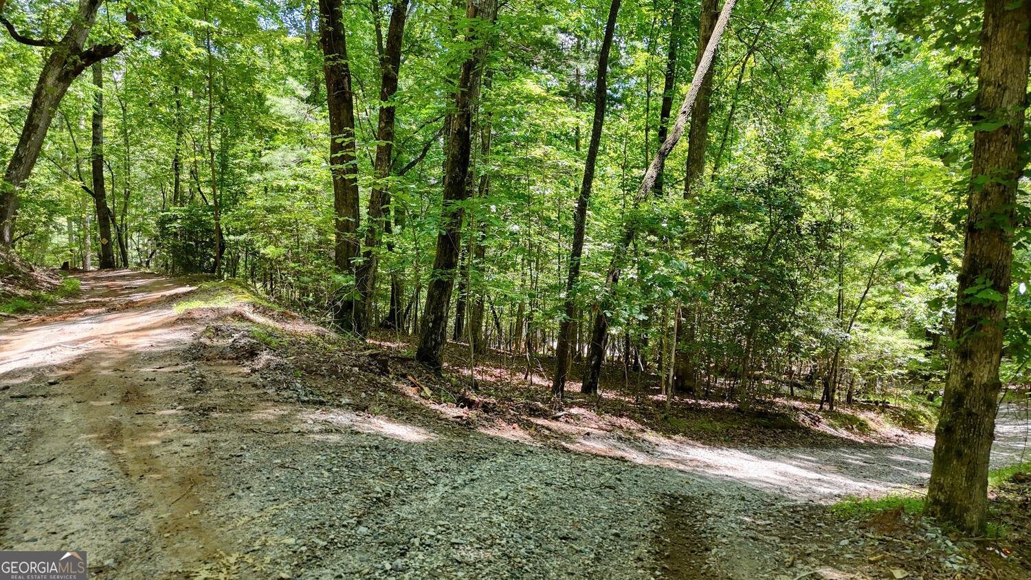 243 Chattahoochee Acres Drive Cleveland - Photo 50