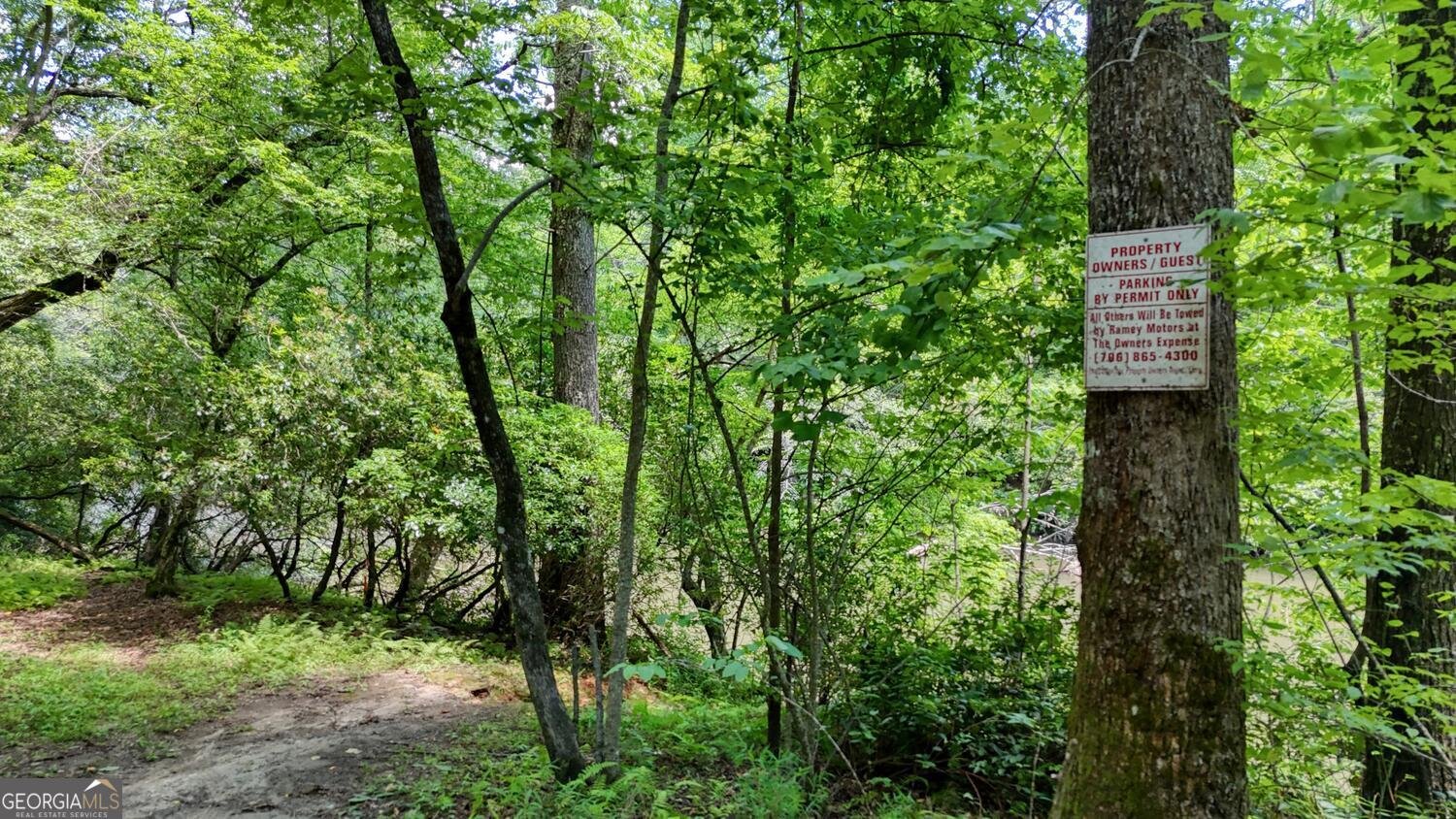 243 Chattahoochee Acres Drive Cleveland - Photo 53