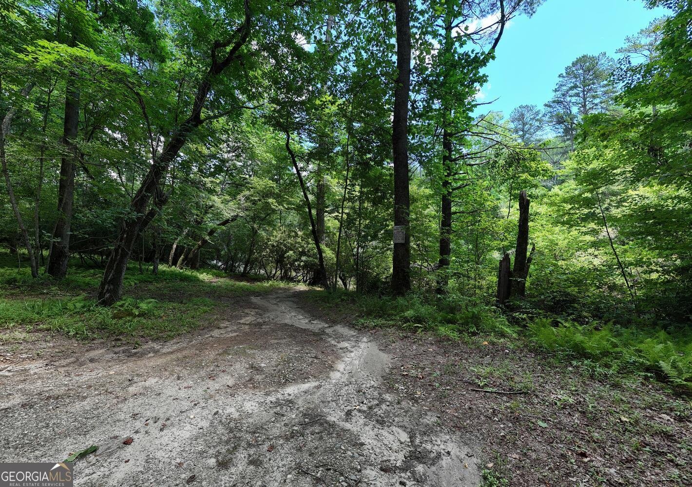 243 Chattahoochee Acres Drive Cleveland - Photo 54