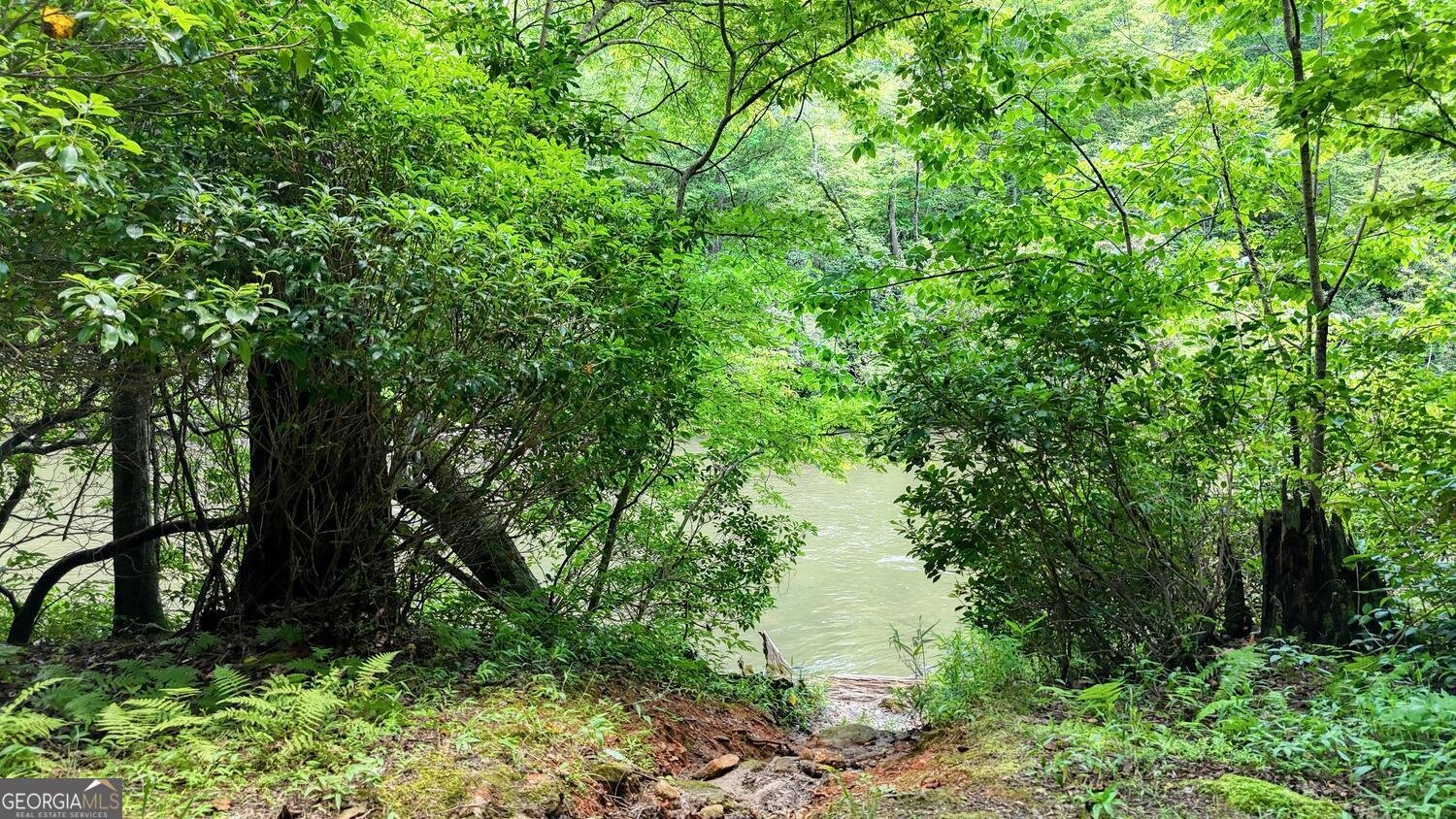 243 Chattahoochee Acres Drive Cleveland - Photo 55