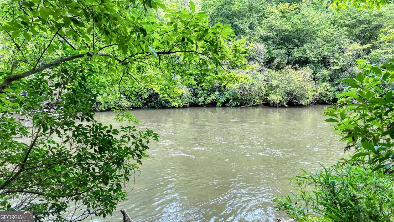 243 Chattahoochee Acres Drive Cleveland - Photo 56