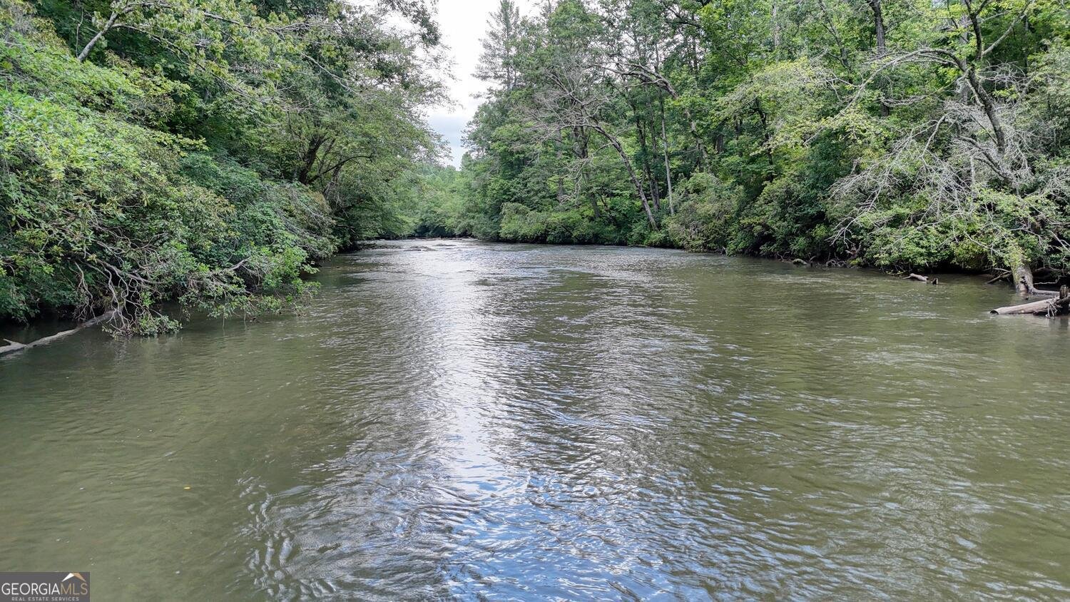 243 Chattahoochee Acres Drive Cleveland - Photo 57