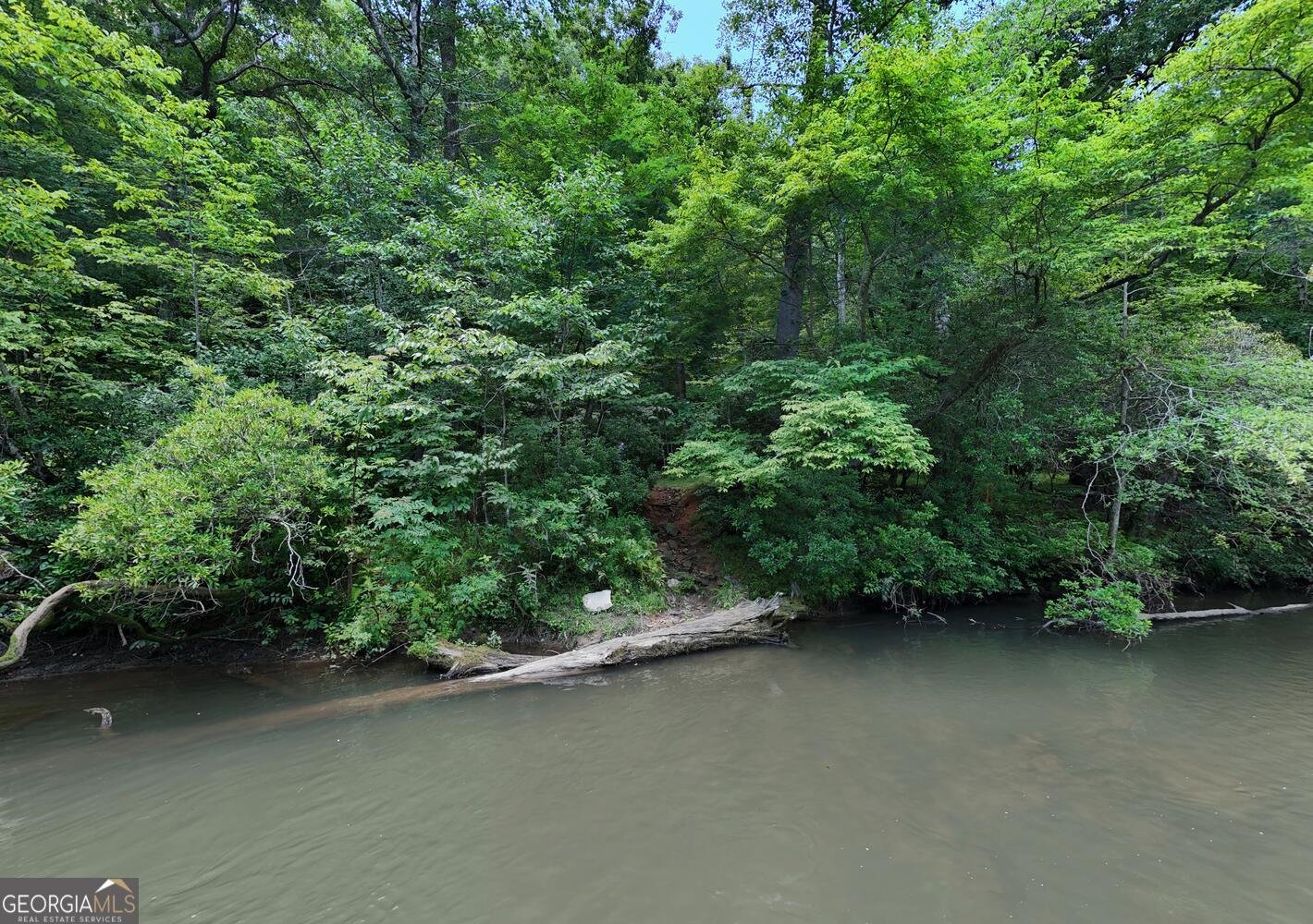 243 Chattahoochee Acres Drive Cleveland - Photo 59