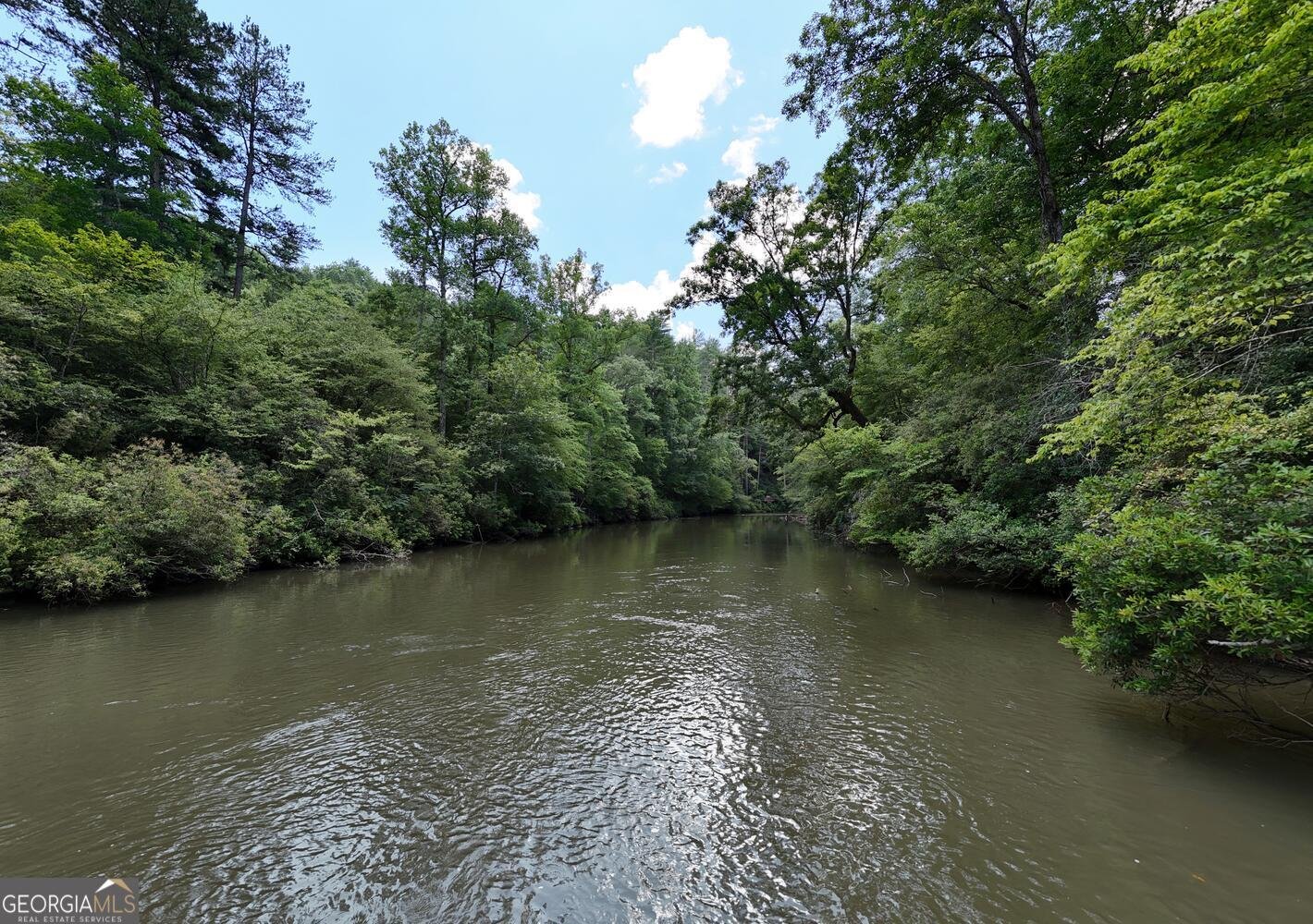 243 Chattahoochee Acres Drive Cleveland - Photo 60