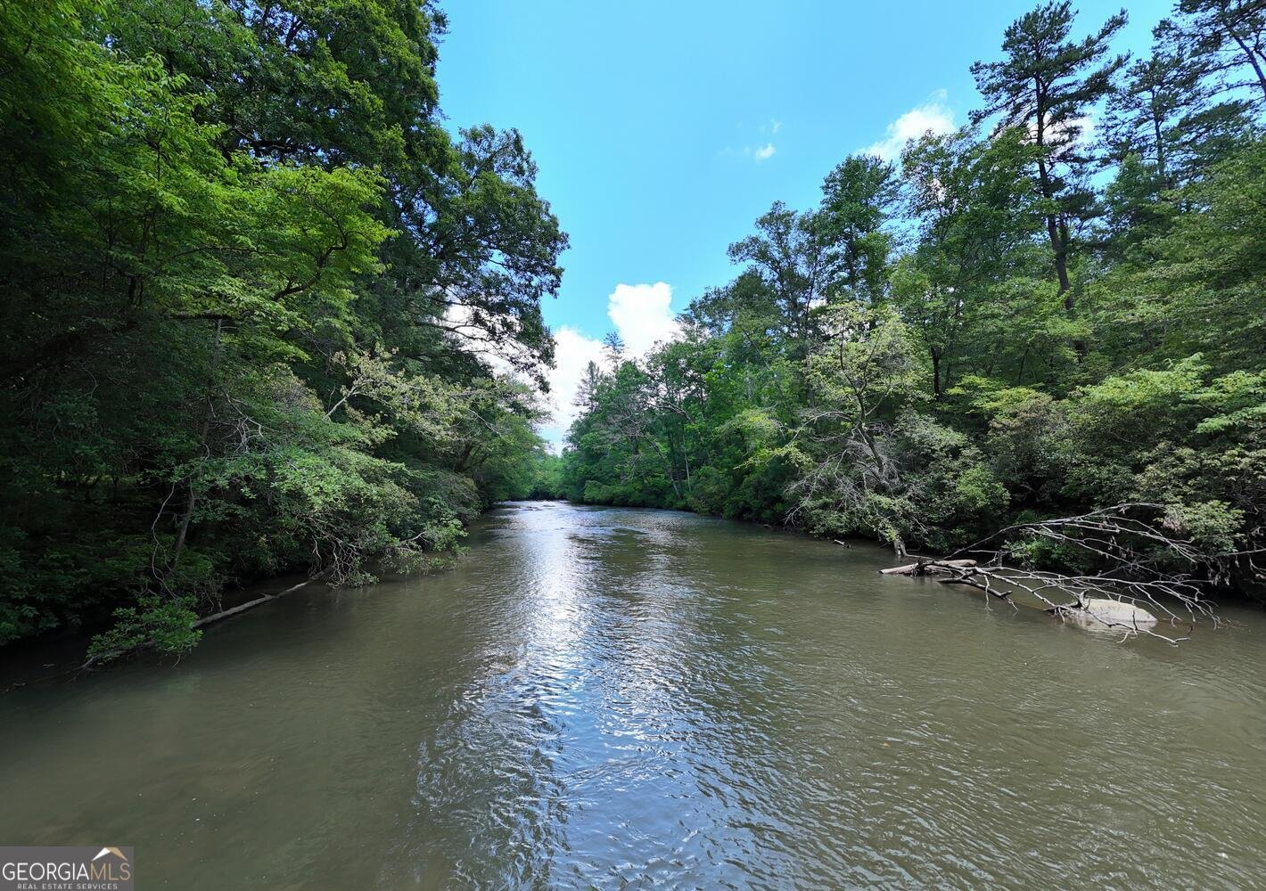 243 Chattahoochee Acres Drive Cleveland - Photo 61