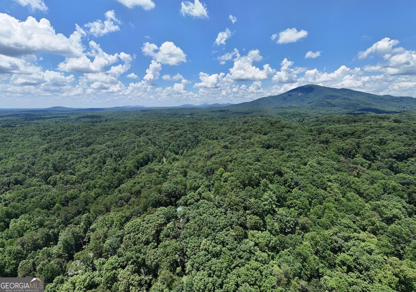 243 Chattahoochee Acres Drive Cleveland - Photo 63