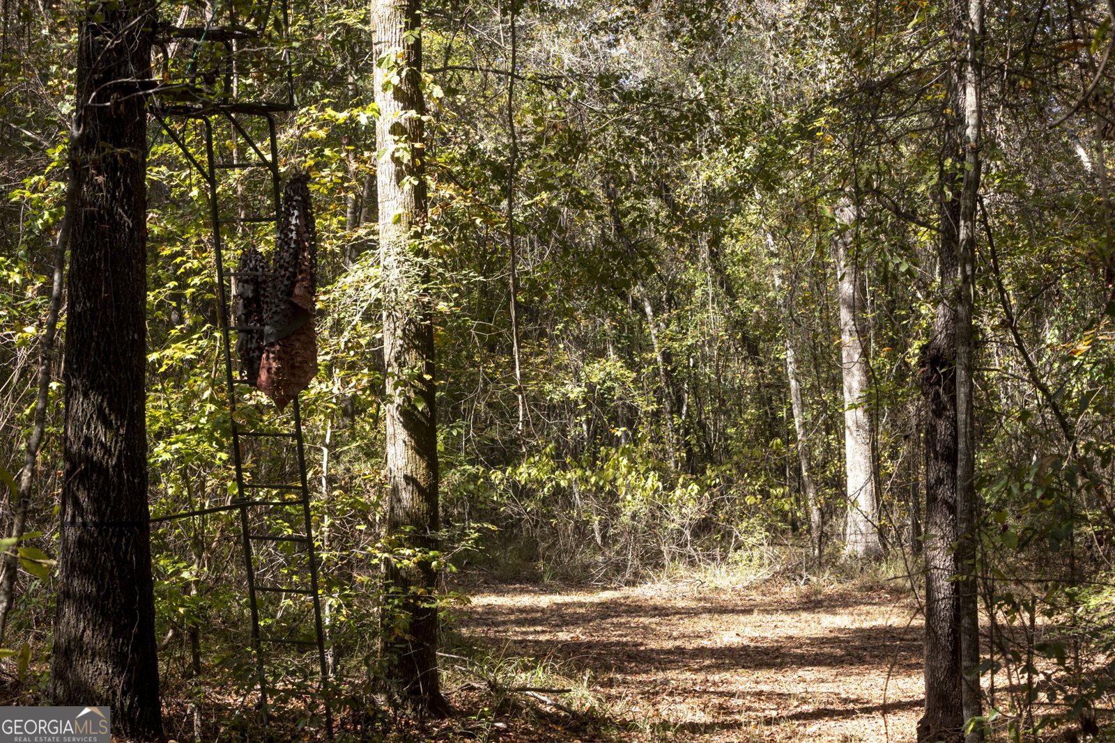 2690 Lawson Merritt Road Fort Valley - Photo 14