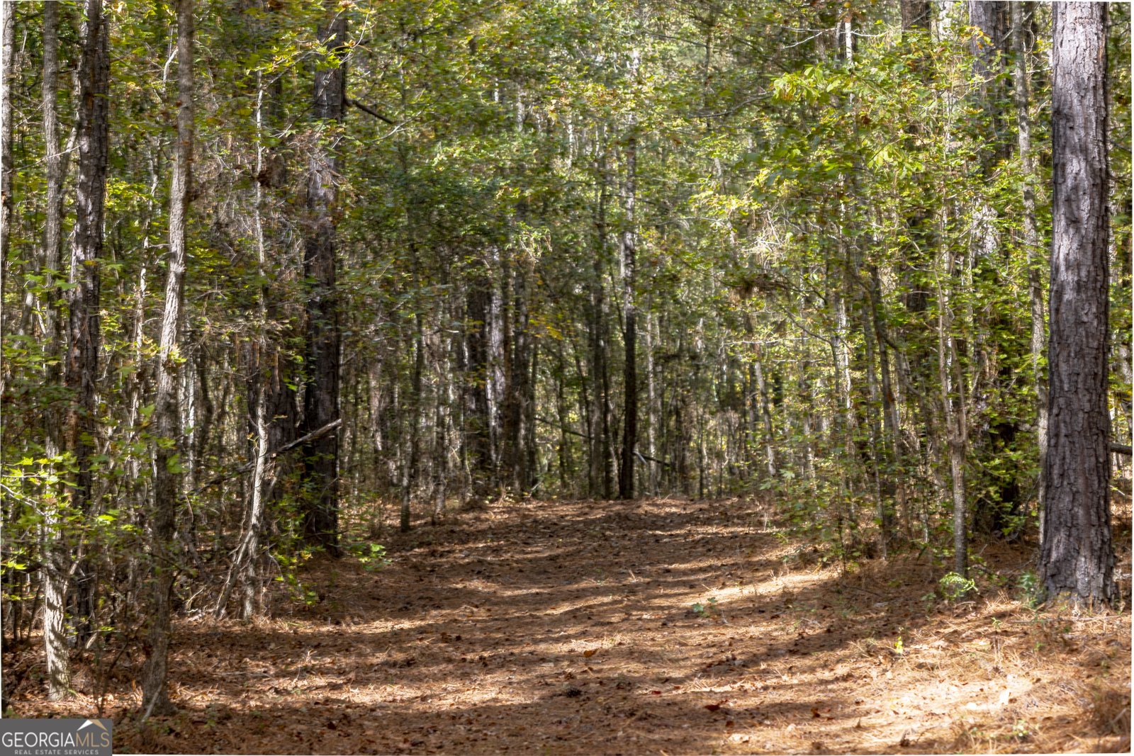 2690 Lawson Merritt Road Fort Valley - Photo 16