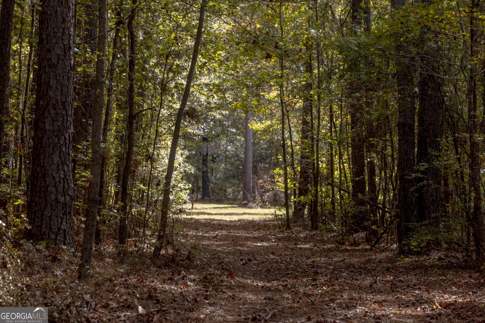 2690 Lawson Merritt Road Fort Valley - Photo 17