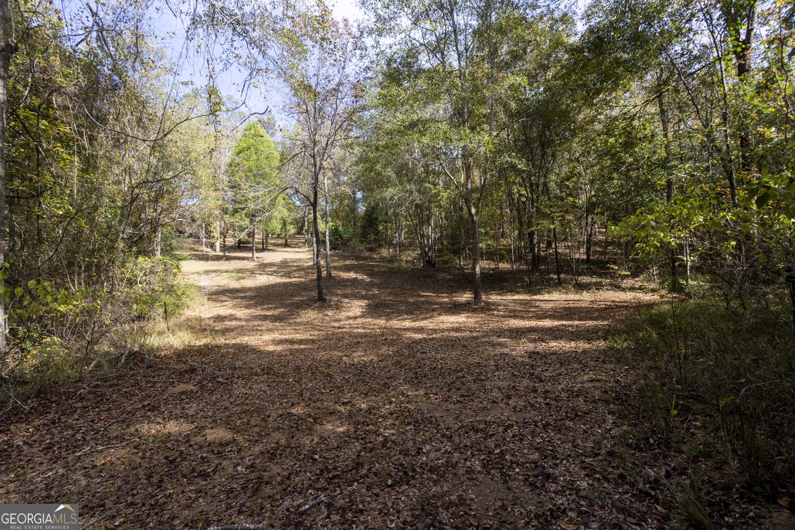 2690 Lawson Merritt Road Fort Valley - Photo 20