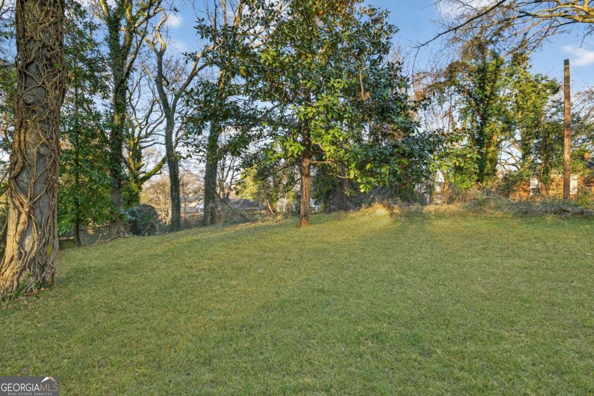 1173 Fenwood Street Atlanta - Photo 23