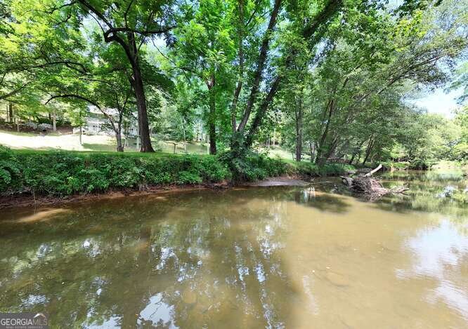 1215 Blue Ridge Highway Blairsville - Photo 66