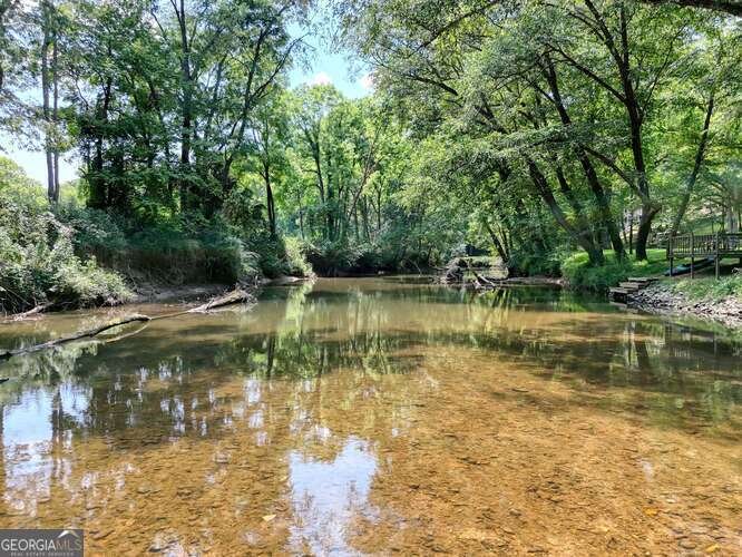 1215 Blue Ridge Highway Blairsville - Photo 67