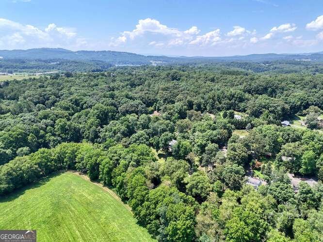 1215 Blue Ridge Highway Blairsville - Photo 72