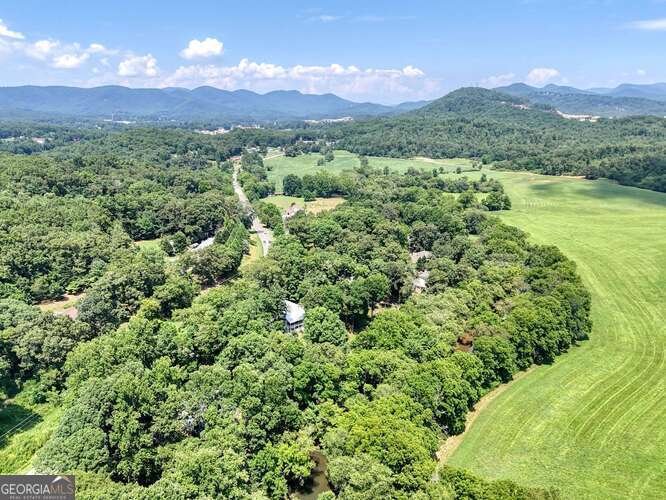 1215 Blue Ridge Highway Blairsville - Photo 73