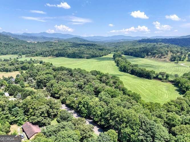 1215 Blue Ridge Highway Blairsville - Photo 75