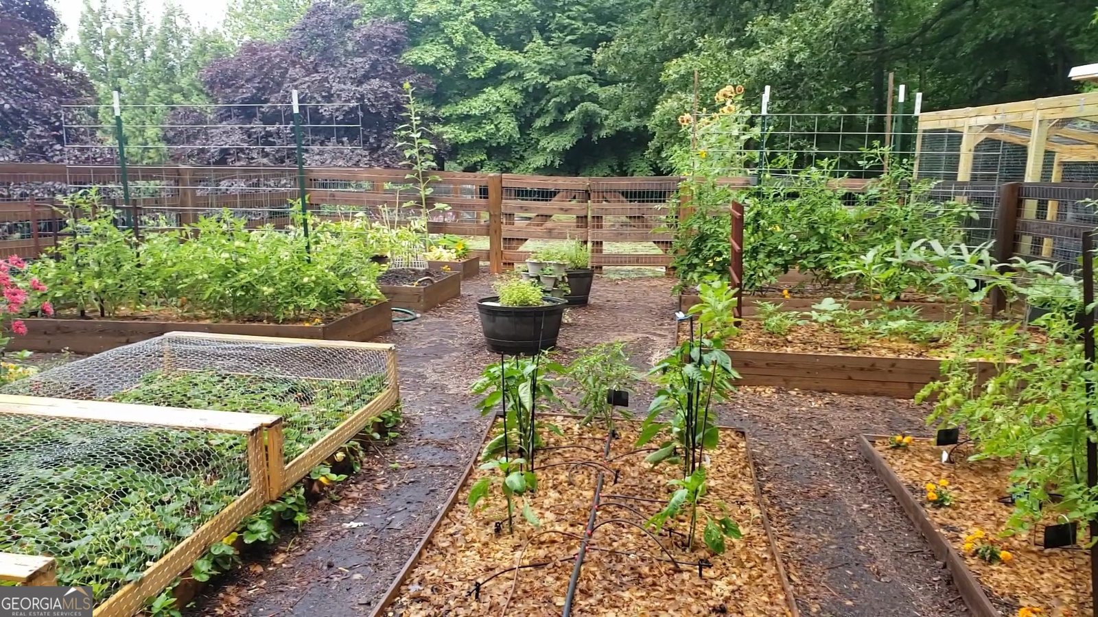 455 Arcaro Drive Alpharetta - Photo 56