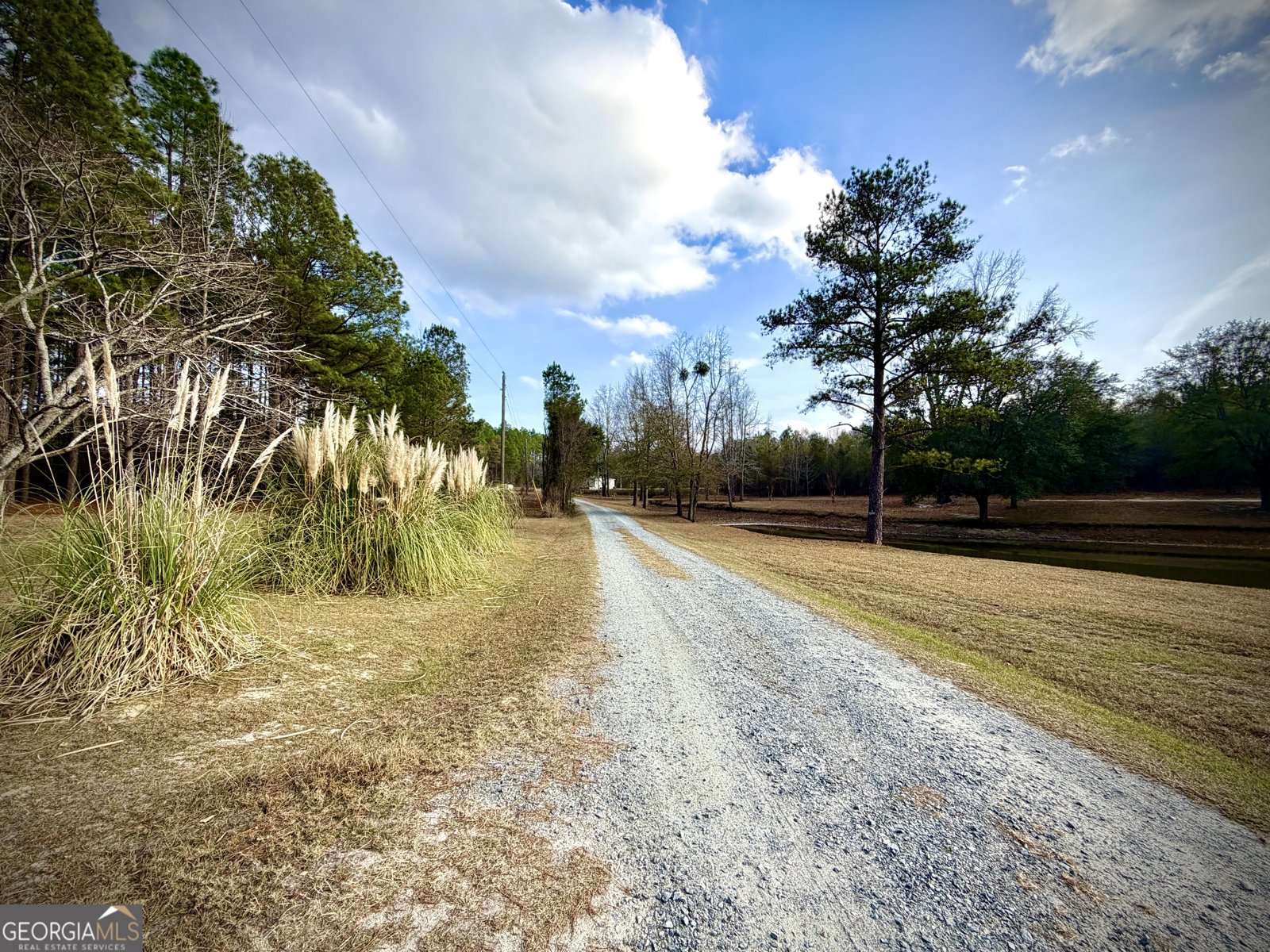 2019 Scharie Lane Rentz - Photo 45