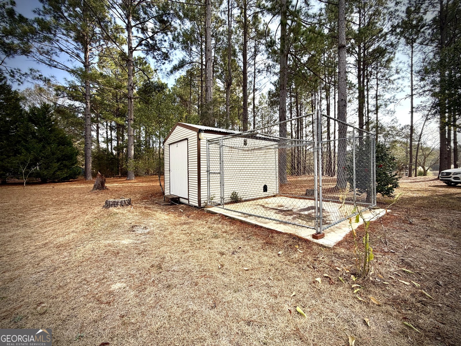 2019 Scharie Lane Rentz - Photo 6