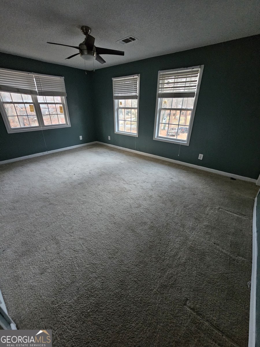 110 Chippewa Court Riverdale - Photo 36