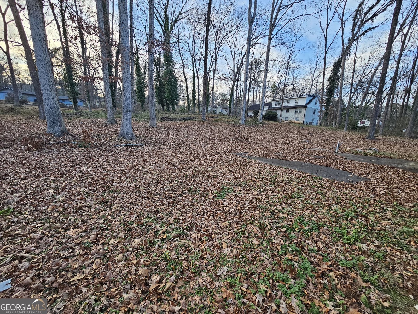 110 Chippewa Court Riverdale - Photo 8