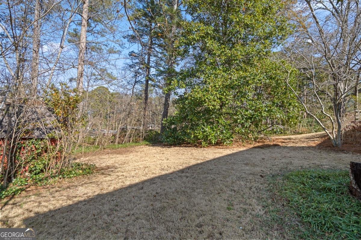 1436 Willivee Drive Decatur - Photo 42