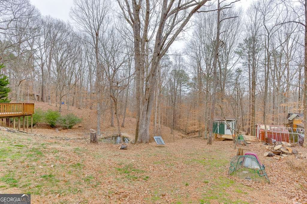 4121 Evian Way Gainesville - Photo 45