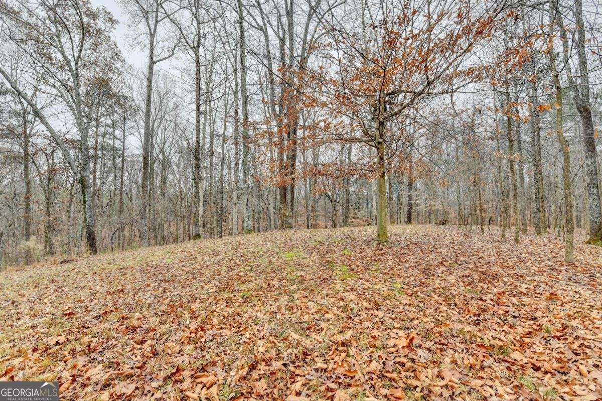 3500 Alexander Circle Cumming - Photo 52