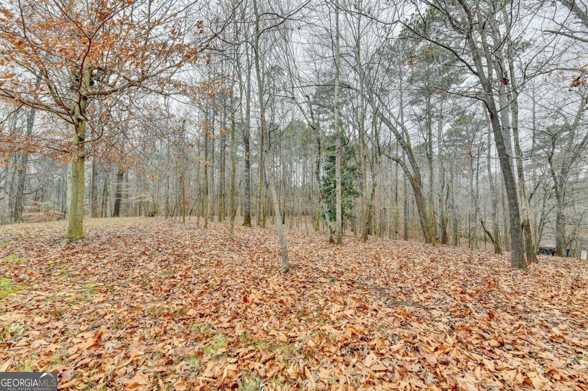 3500 Alexander Circle Cumming - Photo 53