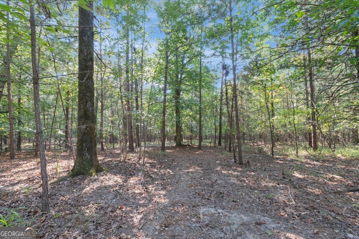 1750 Reids Ferry Road Buckhead - Photo 39