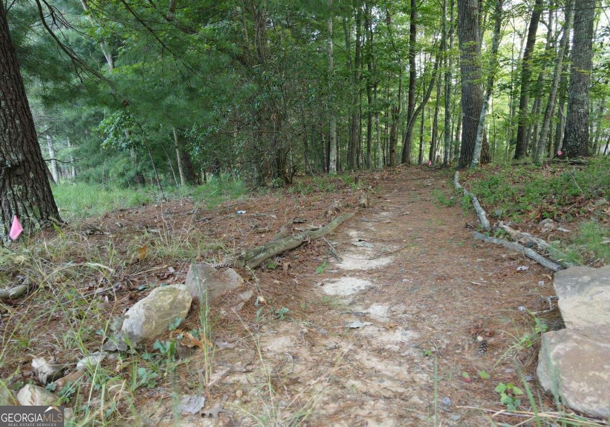 41 Old Wilscott Lane Blairsville - Photo 57