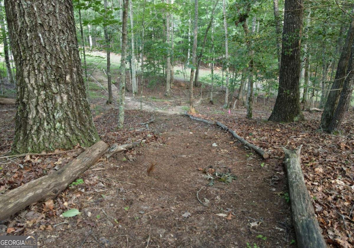 41 Old Wilscott Lane Blairsville - Photo 59