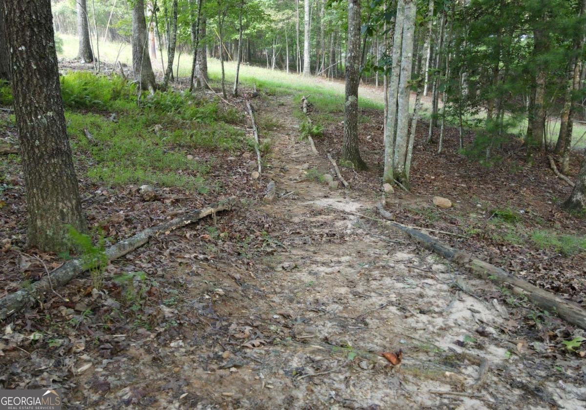 41 Old Wilscott Lane Blairsville - Photo 60