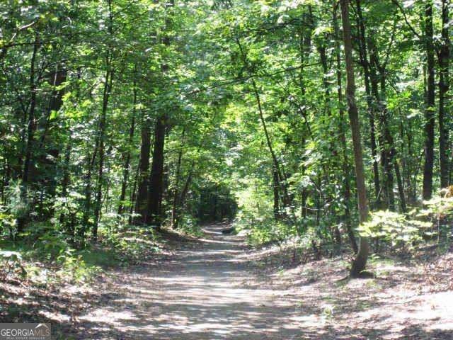 3542 Chattahoochee Summit Lane Atlanta - Photo 30