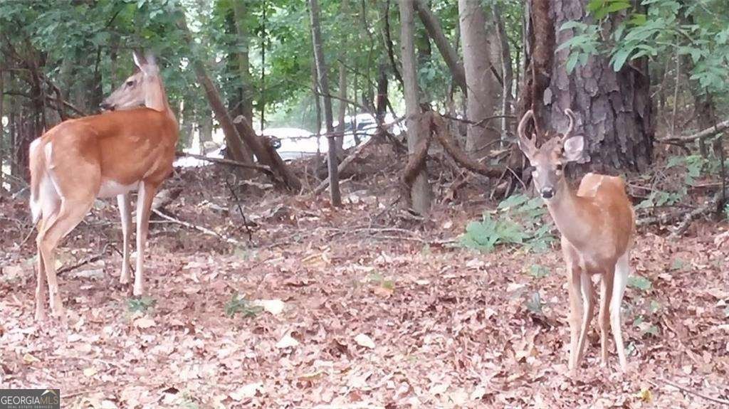 3542 Chattahoochee Summit Lane Atlanta - Photo 31