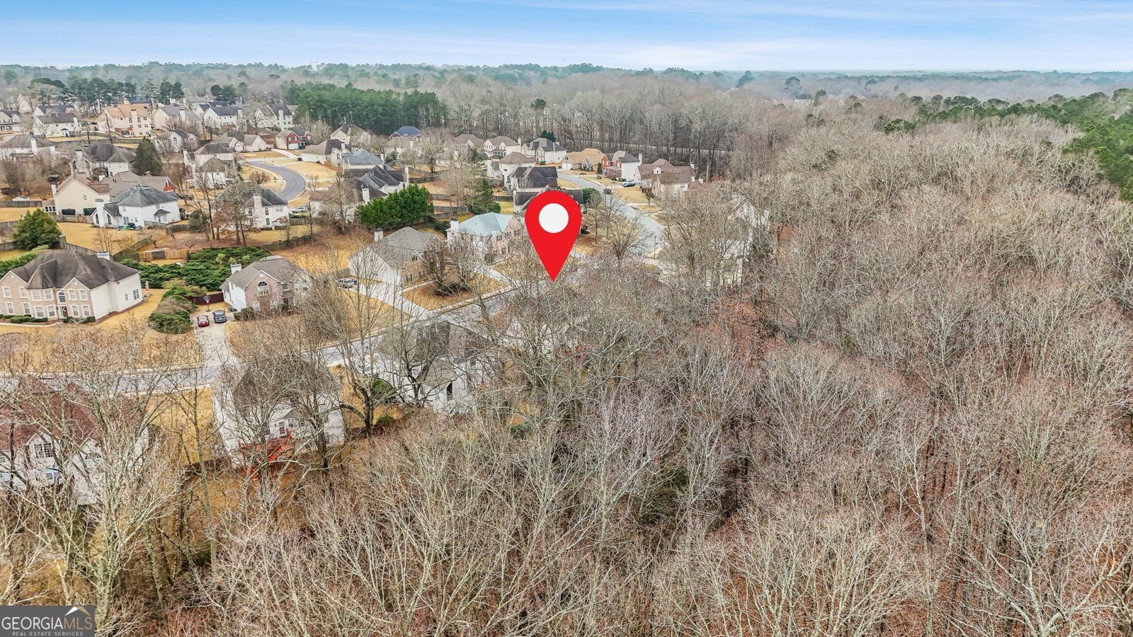 361 Grandiflora Drive McDonough - Photo 40