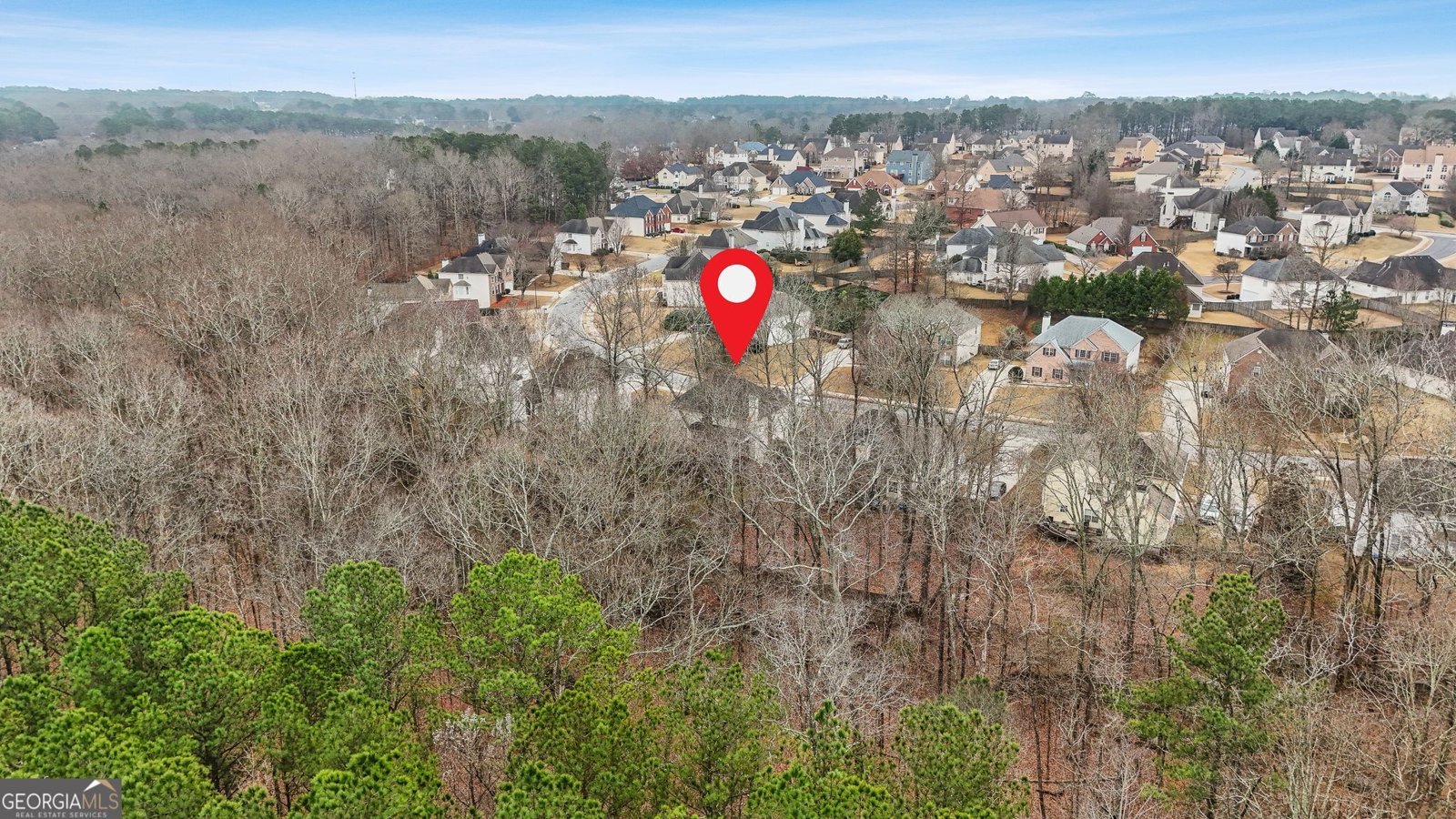 361 Grandiflora Drive McDonough - Photo 42