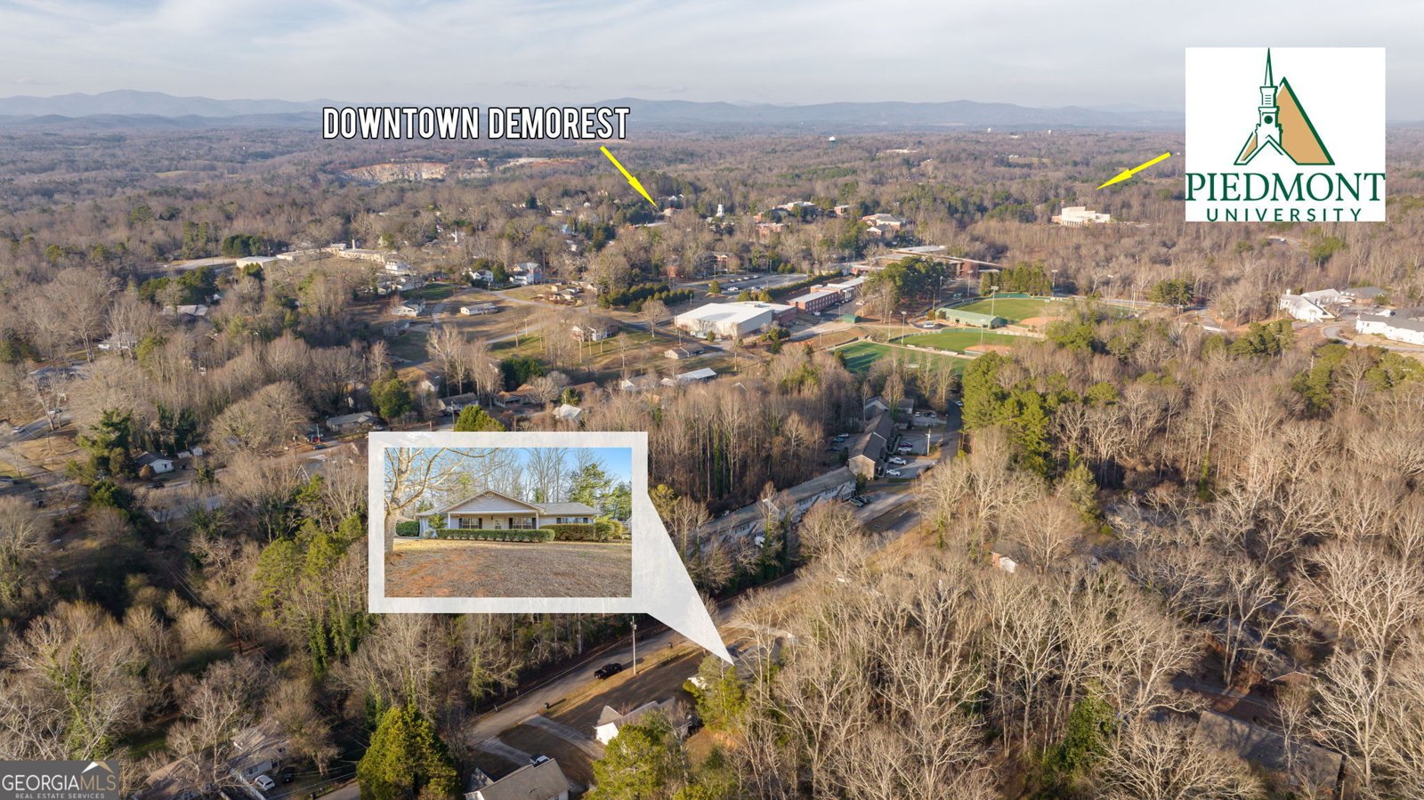 226 Chestnut Avenue Demorest - Photo 40