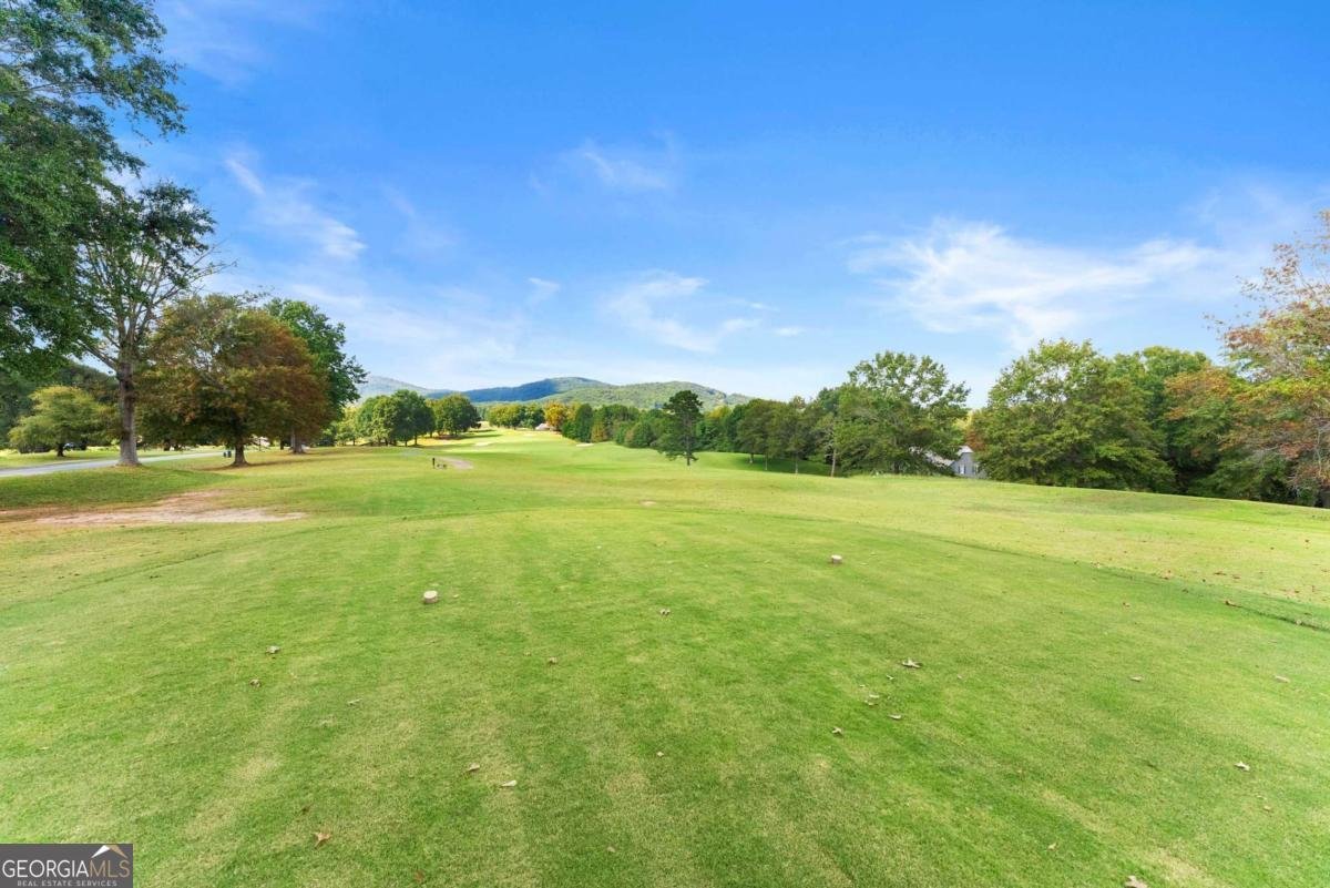 526 Orchard Drive Clarkesville - Photo 68