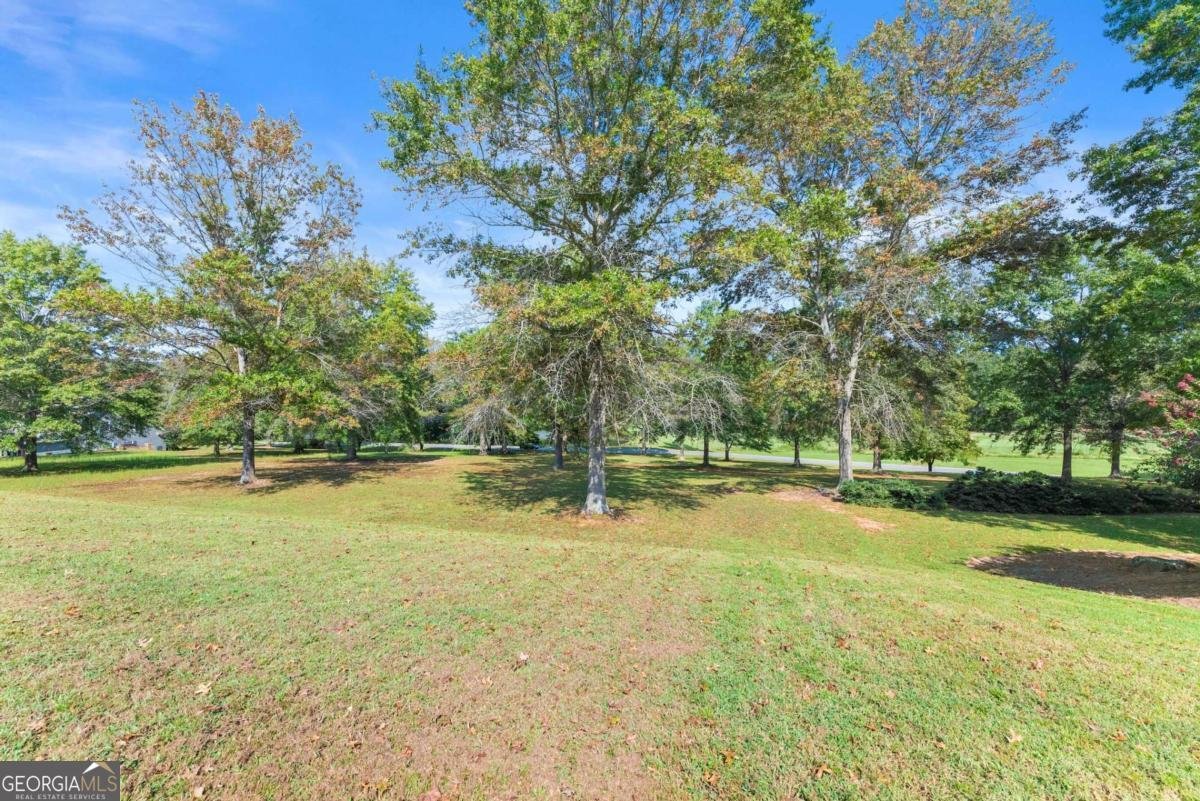 526 Orchard Drive Clarkesville - Photo 69