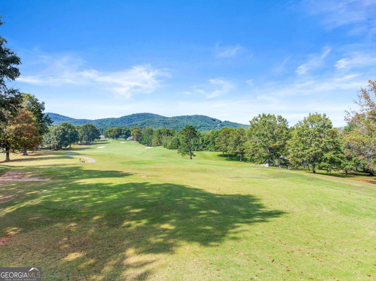 526 Orchard Drive Clarkesville - Photo 70